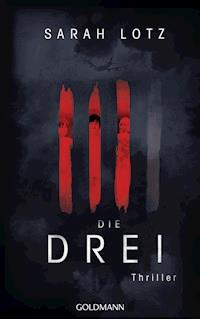 Die Drei - Sarah Lotz - E-Book