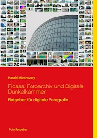 Picasa: Fotoarchiv und Digitale Dunkelkammer - Harald Mizerovsky - E-Book