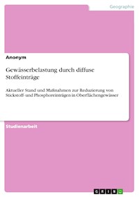Gewässerbelastung durch diffuse Stoffeinträge -  - E-Book