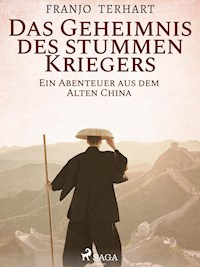 Das Geheimnis des stummen Kriegers - Ein Abenteuer aus dem alten China - Franjo Terhart - E-Book