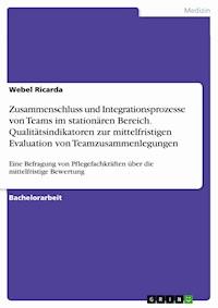 Zusammenschluss und Integrationsprozesse von Teams im stationären Bereich. Qualitätsindikatoren zur mittelfristigen Evaluation von Teamzusammenlegungen - Webel Ricarda - E-Book