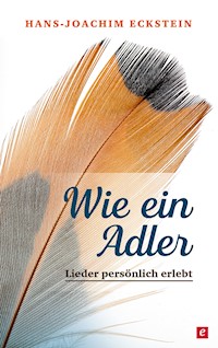 Wie ein Adler - Hans-Joachim Eckstein - E-Book
