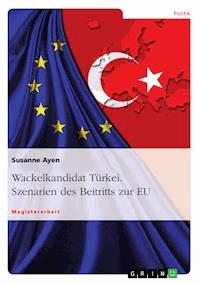 Wackelkandidat Türkei. Szenarien des Beitritts zur EU - Susanne Ayen - E-Book