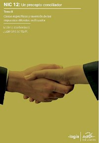 NIC 12 Un precepto conciliador - Varios autores - E-Book