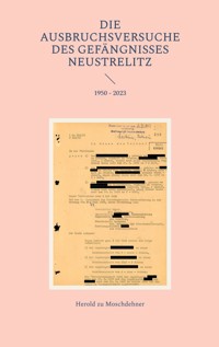 Die Ausbruchsversuche des Gefängnisses Neustrelitz - Herold zu Moschdehner - E-Book