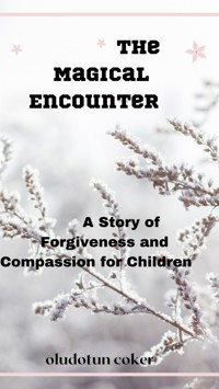 The Magical Encounter - Oludotun Coker - E-Book
