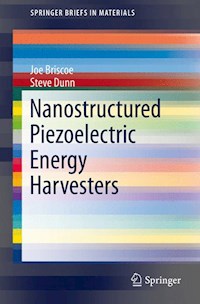 Nanostructured Piezoelectric Energy Harvesters - Joe Briscoe - E-Book