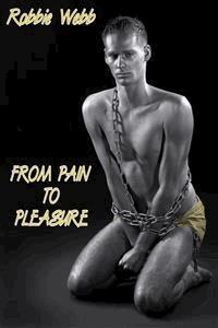 From Pain To Pleasure - Robbie Webb - E-Book