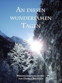 An diesen wundersamen Tagen - Daniela Brotsack - E-Book