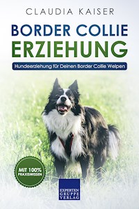 Border Collie Erziehung - Claudia Kaiser - E-Book
