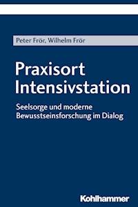 Praxisort Intensivstation - Peter Frör - E-Book