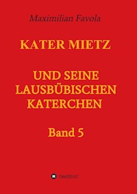 Kater Mietz und seine lausbübischen Katerchen - Maximilian Favola - E-Book