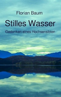 Stilles Wasser - Florian Baum - E-Book