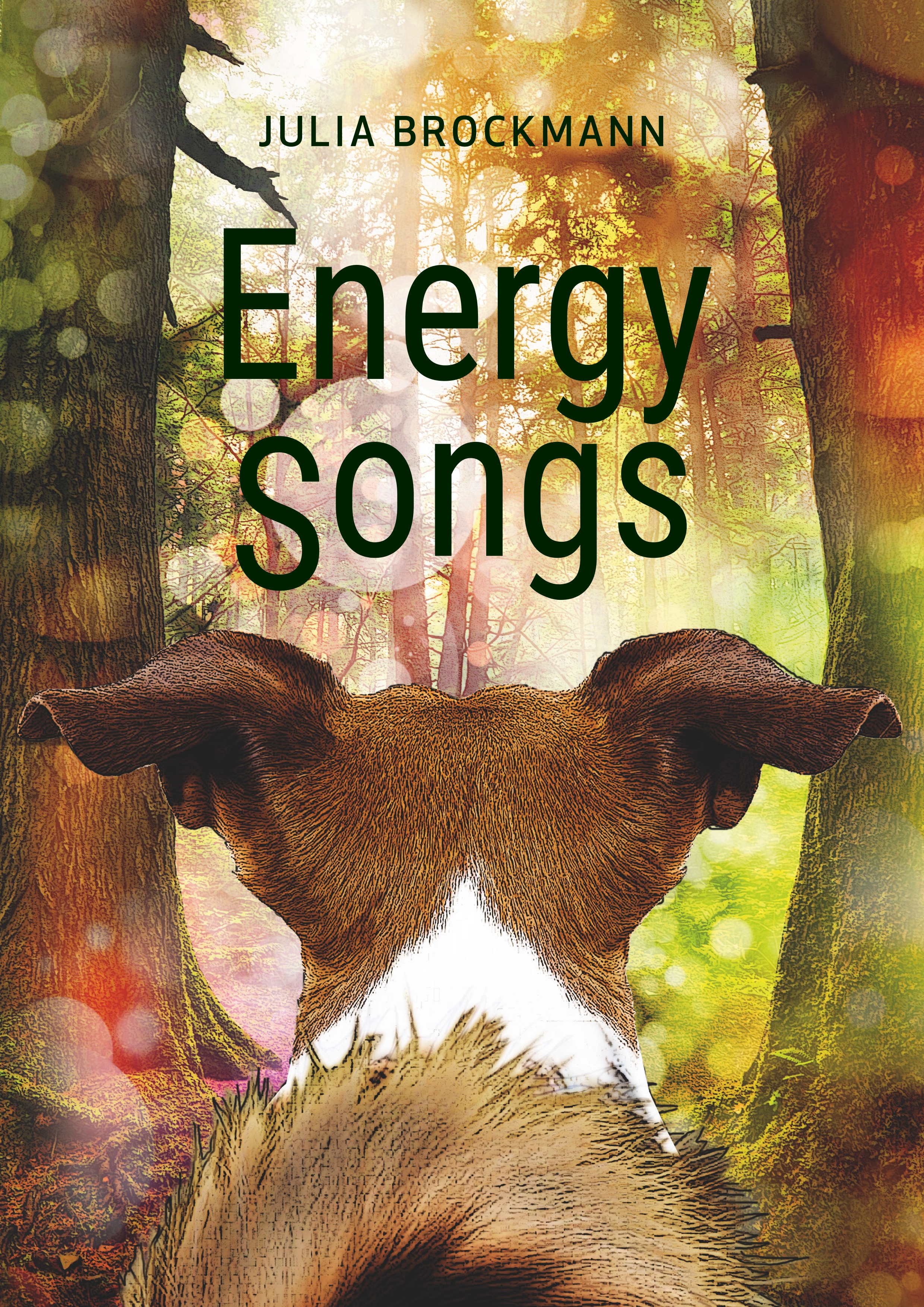 Energy Songs - Julia Brockmann - E-Book