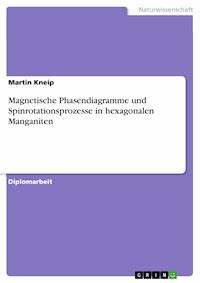 Magnetische Phasendiagramme und Spinrotationsprozesse in hexagonalen Manganiten - Martin Kneip - E-Book