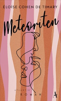 Meteoriten - Éloise Cohen de Timary - E-Book