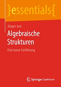Algebraische Strukturen - Jürgen Jost - E-Book