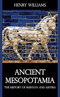 Ancient Mesopotamia - Henry Williams - E-Book