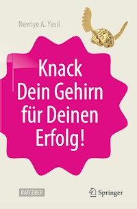 Knack Dein Gehirn für Deinen Erfolg! - Nevriye A. Yesil - E-Book