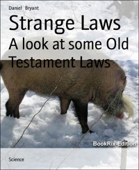 Strange Laws - Daniel Bryant - E-Book