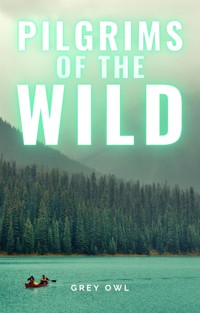 Pilgrims of the Wild - Grey Owl - E-Book
