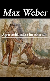 Agrarverhältnisse im Altertum - Max Weber - E-Book
