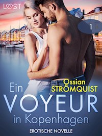 Ein Voyeur in Kopenhagen 1 - Erotische Novelle - Ossian Strömquist - E-Book