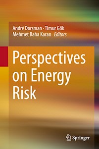 Perspectives on Energy Risk -  - E-Book
