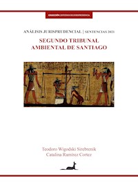 Segundo tribunal ambiental de Santiago - Teodoro Wigodski - E-Book