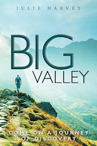 Big Valley - Julie Harvey - E-Book