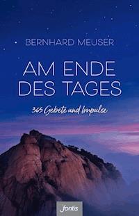 Am Ende des Tages - Bernhard Meuser - E-Book