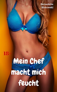 Mein Chef macht mich feucht - Bernadette Binkowski - E-Book
