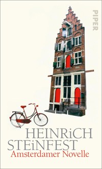 Amsterdamer Novelle - Heinrich Steinfest - E-Book