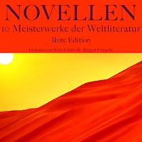 Novellen: Zehn Meisterwerke der Weltliteratur - Rote Edition - Theodor Storm - Hörbuch