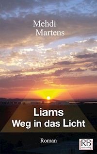 Liams Weg in das Licht - Mehdi Martens - E-Book