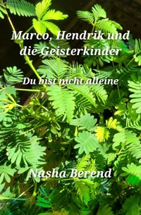 Marco, Hendrik und die Geisterkinder - Nasha Berend - E-Book
