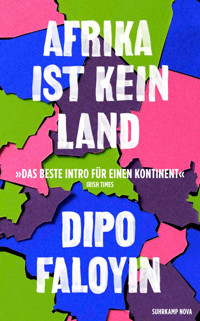Afrika ist kein Land - Dipo Faloyin - E-Book