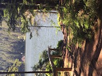 Leseprobe "Welche Farbe tragen Engelsfedern" - Eve Grass - E-Book