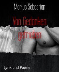 Von Gedanken getrieben - Marius Sebastian - E-Book
