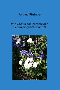 Wie Gott in das persönliche Leben eingreift - Band 9 - Andrea Pirringer - E-Book