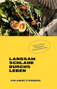 Langsam schlank durchs Leben - Andre Sternberg - E-Book