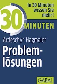 30 Minuten Problemlösungen - Ardeschyr Hagmaier - E-Book