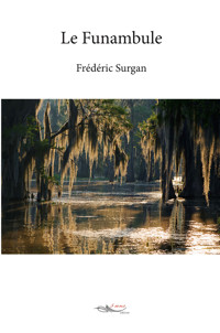 Le Funambule - Frédéric Surgan - E-Book