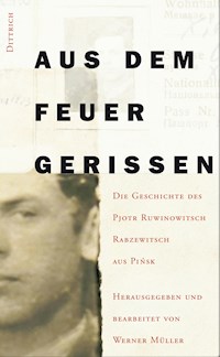 Aus dem Feuer gerissen - Werner Müller - E-Book