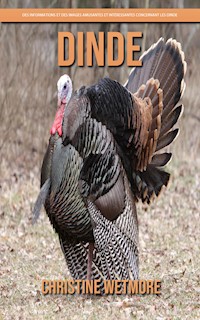 Dinde – Des Informations et des Images Amusantes et Intéressantes concernant les Dinde - Christine Wetmore - E-Book