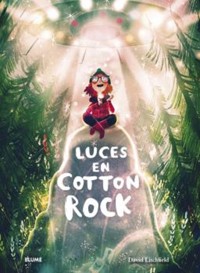 Luces en Cotton Rock - David Litchfield - E-Book