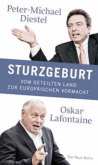 Sturzgeburt - Peter-Michael Diestel - E-Book