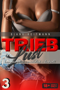 Trieblust - Sexgeschichte Ausgabe 3 - Diana Reitmann - E-Book