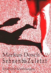 S e h n e n  bis Z u l e t z t - Markus Dosch - E-Book