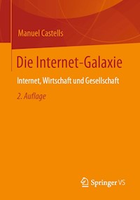Die Internet-Galaxie - Manuel Castells - E-Book
